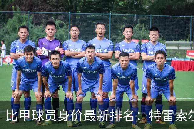 比甲球员身价最新排名：特雷索尔迪与布鲁曼斯成焦点