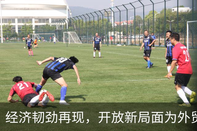 经济韧劲再现，开放新局面为外贸注入强心剂